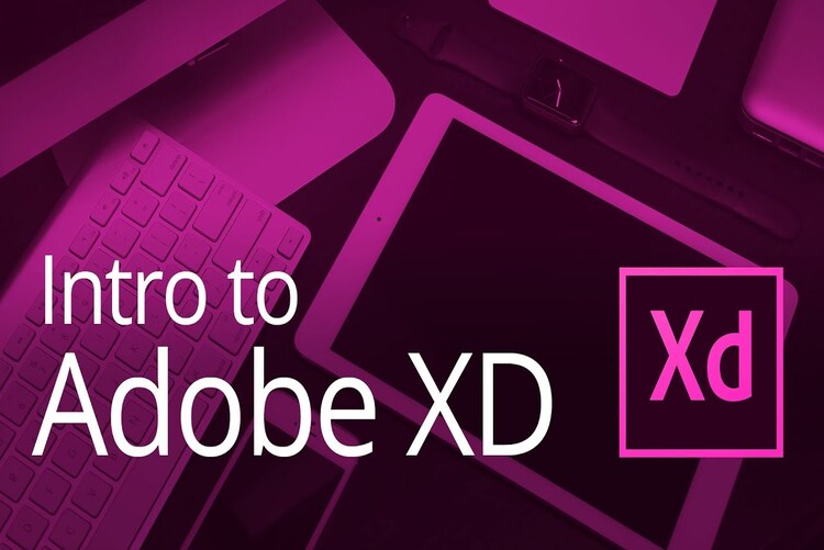 Adobe XD Training