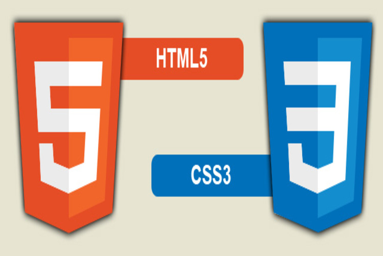 HTML5 CSS3 Training